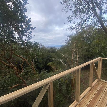 Bordemundo B&B Y Cabanas Puerto Varas Exteriör bild