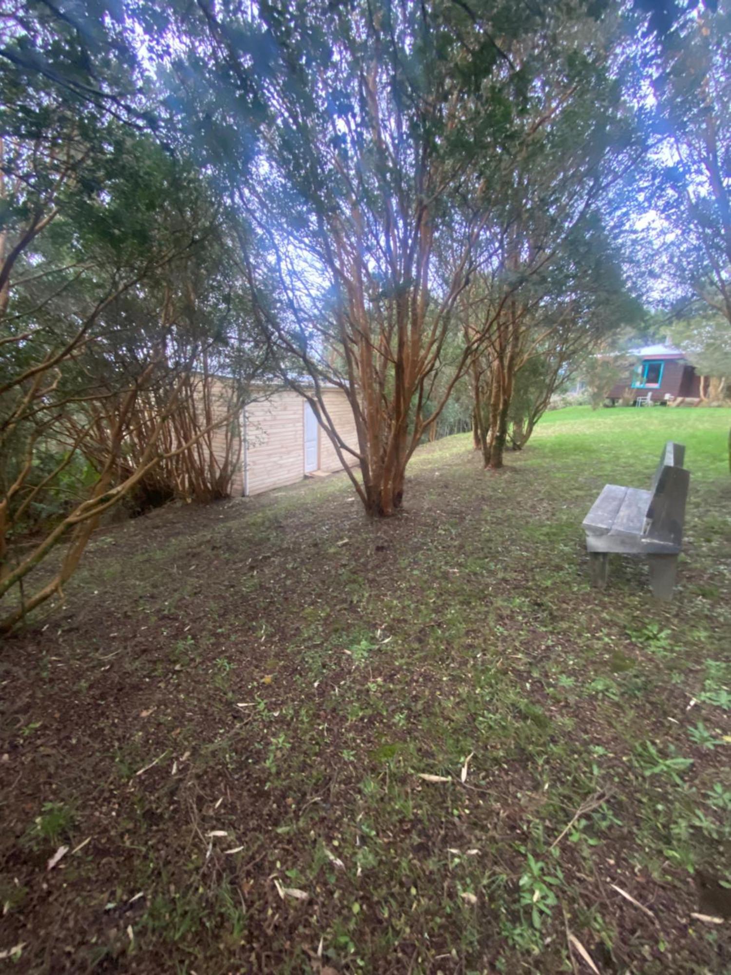 Bordemundo B&B Y Cabanas Puerto Varas Exteriör bild